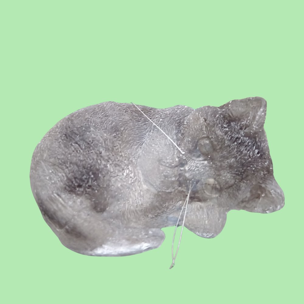 Recuerdo de gato