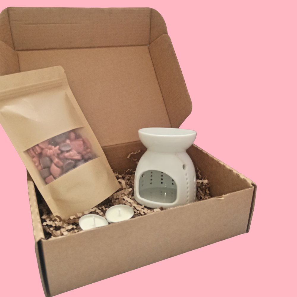 Combo inicial de Wax melts